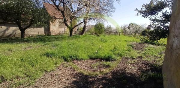 Maison et dépendances à VERDUN SUR LE DOUBS (71350)