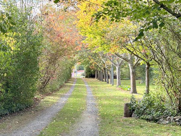 Maison - Moncé En Belin - 6 pièce(s) - 157 m²