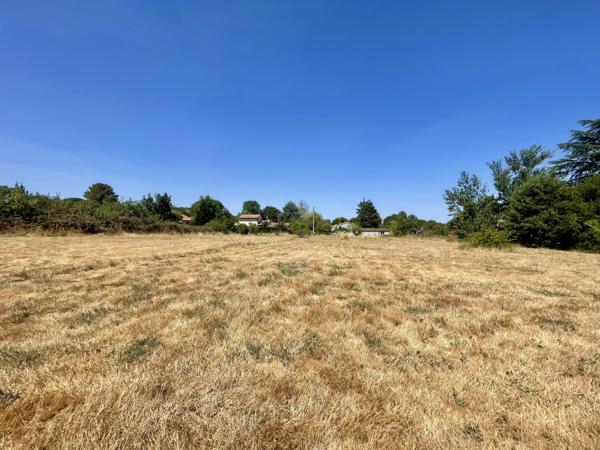 Terrain
        
        - 3200 m² 88 000 € *