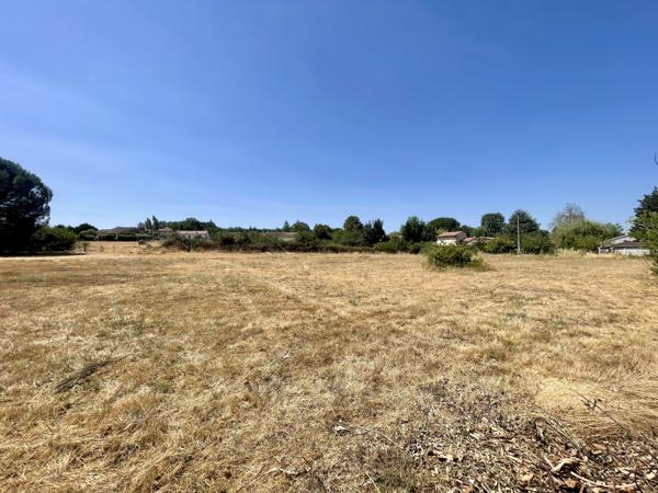 Terrain
        
        - 3200 m² 88 000 € *
