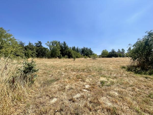 Terrain
        
        - 3200 m² 88 000 € *