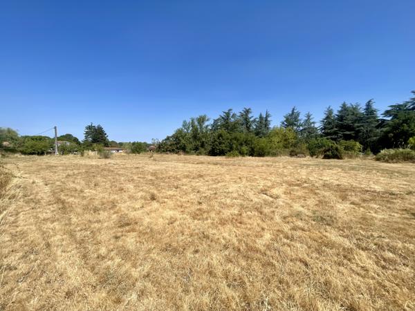 Terrain
        
        - 3200 m² 88 000 € *