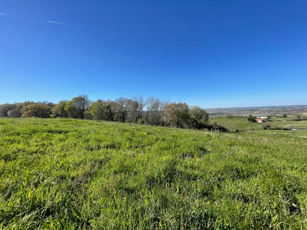Bidache - Vente Terrain - vue dégagée