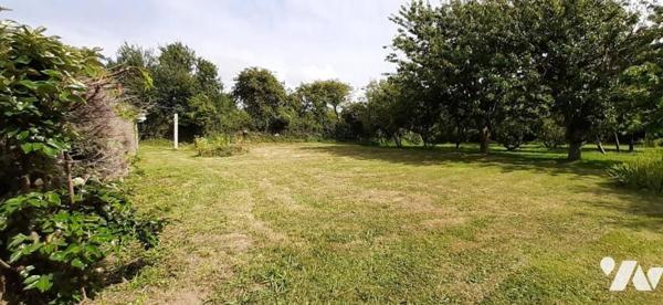 SIOUVILLE-HAGUE MAISON AVEC EXTENSION HABITABLE + 2 GARAGES + JARDIN ARBORE