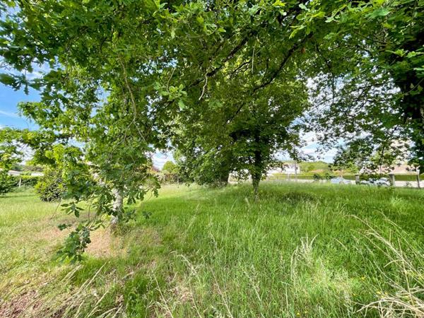 Terrain Merignac 1119 m2