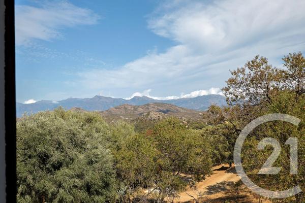 Maison à vendre  9 pièces - 167 m 2   SANTO PIETRO DI TENDA  - 202