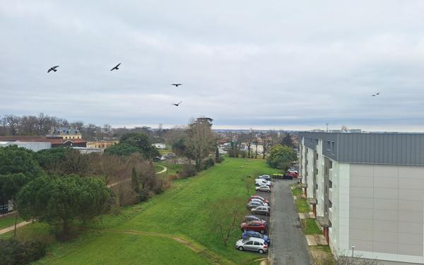 Appartement à vendre    2 pièces • 39,15 m2 Mérignac