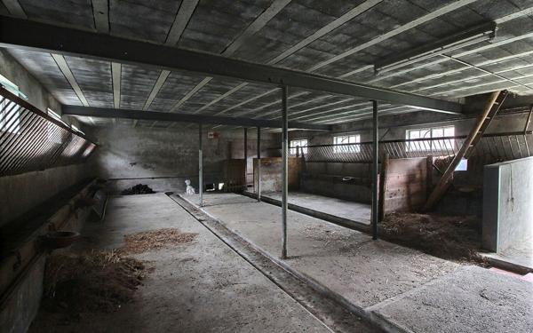 Maison à vendre    4 pièces •  Marmagne