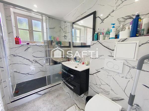 À vendre – Ensemble de 2 maisons, 160 m² habitables à 10 min de Bray-sur-Seine