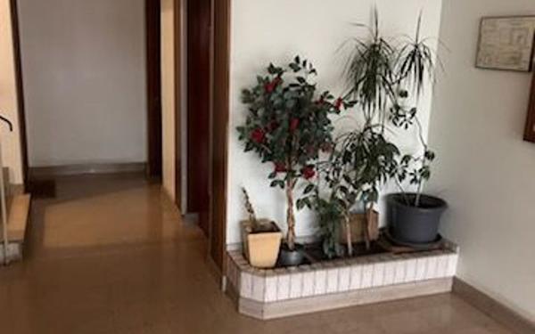 Appartement à vendre    1 pièce • 34 m2 Montreuil