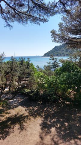 Maison 8 pièces - 306 m² Bien prestige