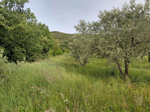 Magnifique terrain constructible avec permis