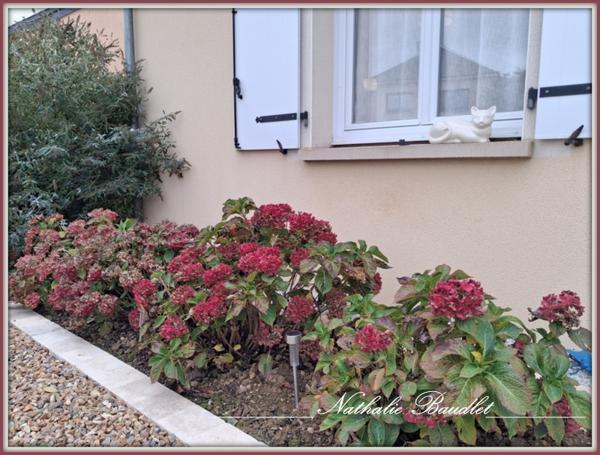 Brûlon (72350) Maion PLAIN-PIED, 4 chambres, sde, sdb, garage, jardin