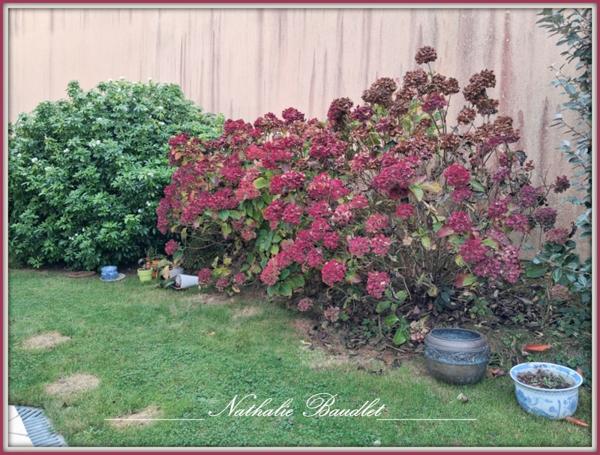 Brûlon (72350) Maion PLAIN-PIED, 4 chambres, sde, sdb, garage, jardin