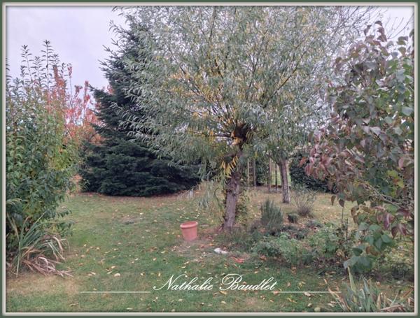 Brûlon (72350) Maion PLAIN-PIED, 4 chambres, sde, sdb, garage, jardin