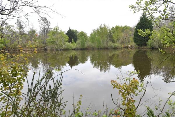 Maison de quatre chambres avec 14 hectares et un lac.
