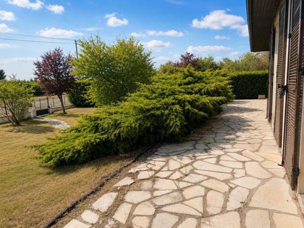 Maison, grand terrain et 110 m² de sous-sol