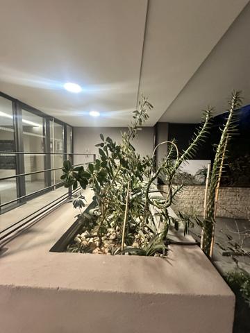 Marseille (13008) EXCLUSIVITÉ VENTE STUDIO 30 M2 CARREZ TERRASSE JARDIN AU CALME 13008 MARSEILLE