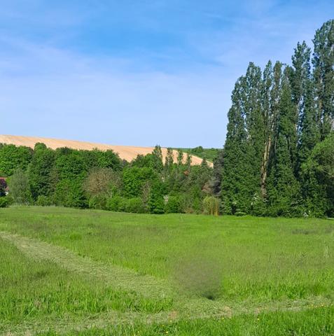 Terrain à vendre de 1 277,00 m² MESSON (10)