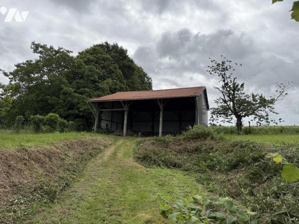 Terrain constructible en bourg de Laurenan