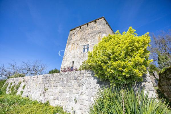 Un château exquis datant du Moyen Âge, niché sur une colline et offrant des vues panoramiques à couper le souffle