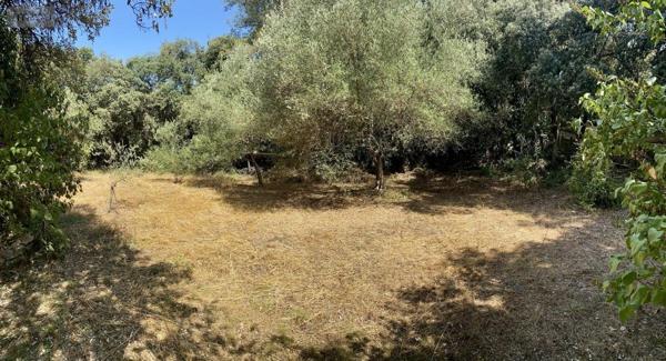 Terrain à Batir à vendre à Castries dans l'Hérault (34160), ref : 34012-713