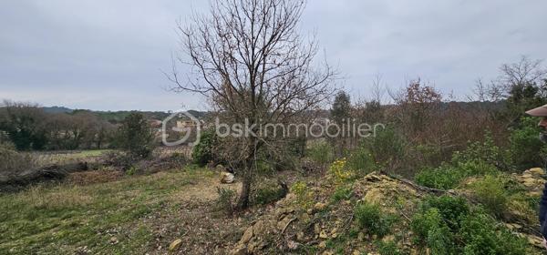 Terrain agricole de 7 256 m²