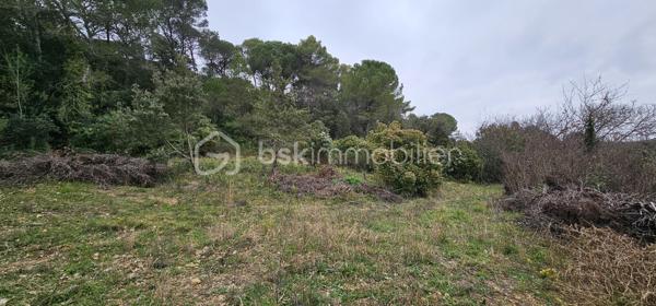 Terrain agricole de 7 256 m²