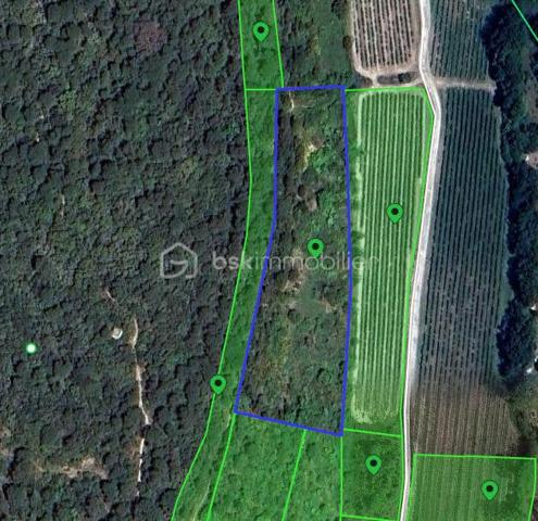 Terrain agricole de 7 256 m²