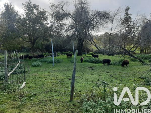 Maison à vendre 4 pièces 95 m² Courlay