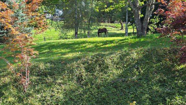 Belle maison familiale au cœur des Bauges