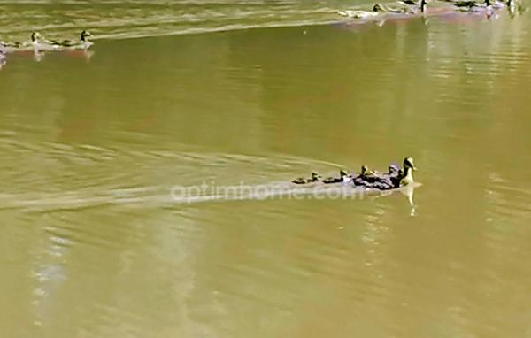 Domaine à vendre Calvados