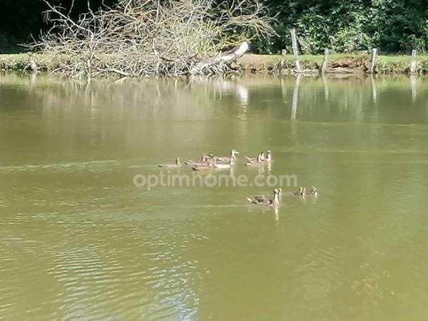 Domaine à vendre Calvados