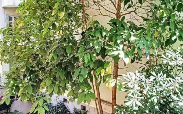 Appartement à vendre    2 pièces • 40 m2 Nice