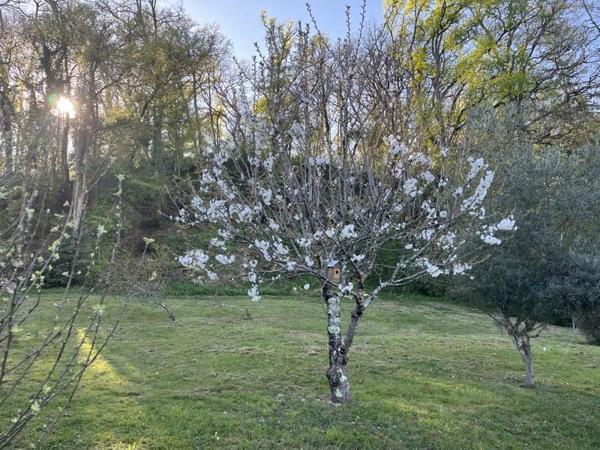 Maison à vendre |  Argenton-sur-Creuse |  7 pièces | 134 m²