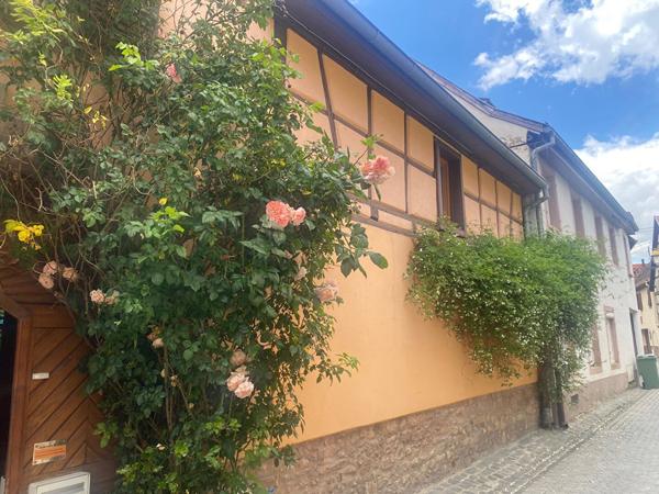 Molsheim - 150m2 - 5 Chambres - Jardin- Terrasse