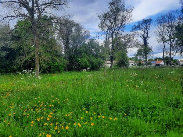 Terrain à Batir à vendre à Commequiers en Vendée (85220), ref : 85091-5185