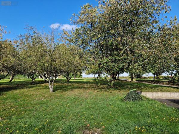 Maison à vendre à Saint-Aubin-du-Pavail en Ille-et-Vilaine (35410), ref : 11793/2
