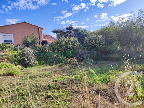 Terrain à vendre  289 m2 MEZE - 34