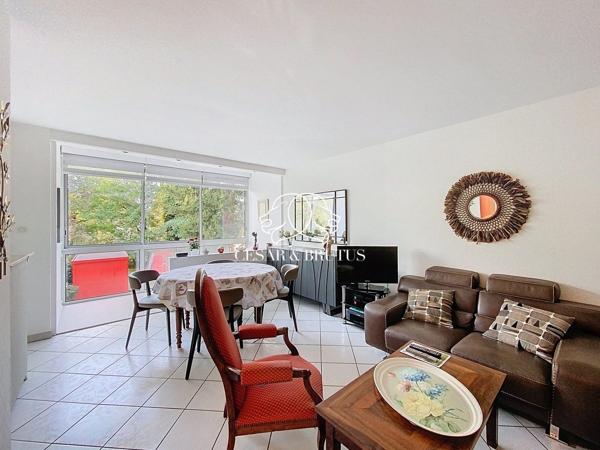 INVESTISSEMENT en VIAGER OCCUPE