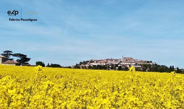 Propriété rare de 8,5 ha avec vue dominante, gîtes, sans contrainte d’exploitation