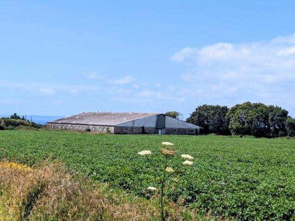 Ancienne Porcherie et Terrain Agricole