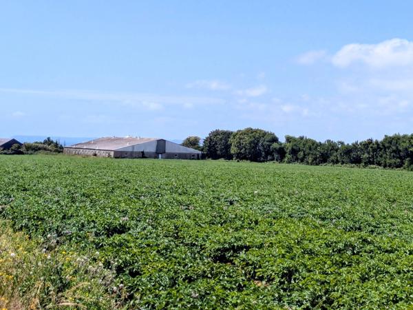 Ancienne Porcherie et Terrain Agricole