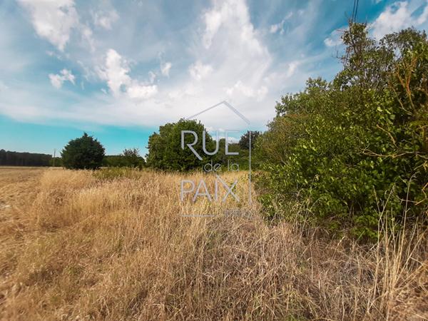 86140 DOUSSAY Terrain Doussay 685 m2