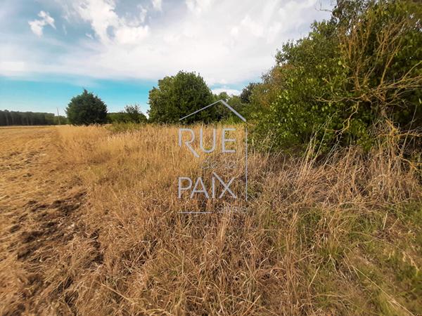 86140 DOUSSAY Terrain Doussay 685 m2