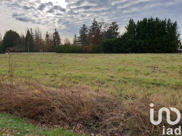 Terrain à vendre 1 354 m² La Cour-Marigny