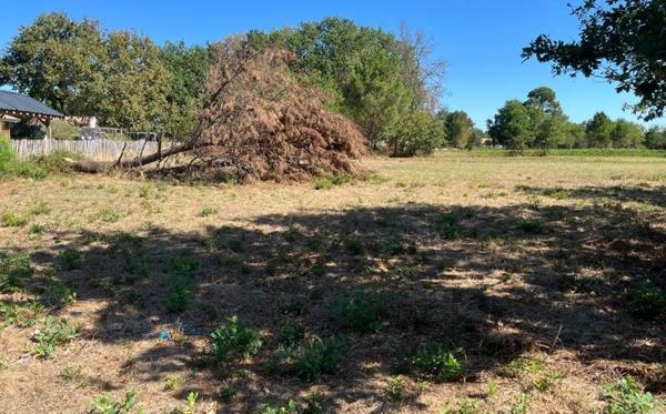 Terrain 130 800 € Hourtin 502 m² DPE