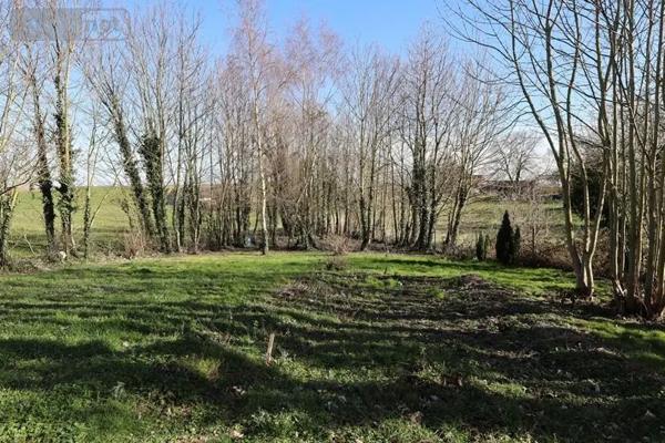 Achat - Terrain à bâtir Gonnelieu 59231 1160 m 2