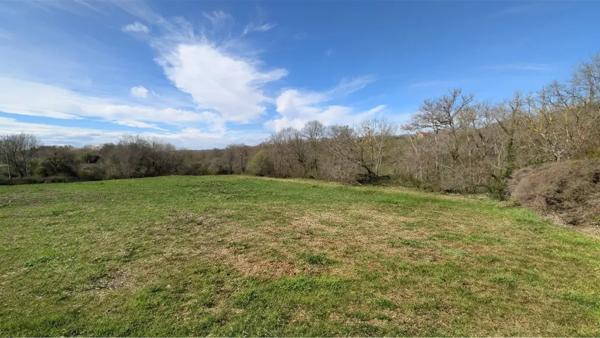 terrain 0 pièces 9810m² à vendre à Hagetmau