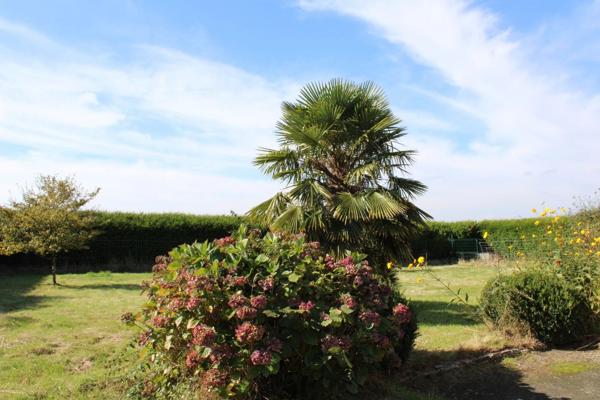 Maison à vendre à Saint-Barnabé, 230 m², 3 chambres